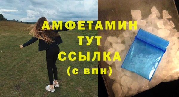 твердый Вяземский