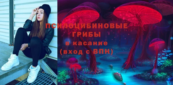 apvp Вязьма