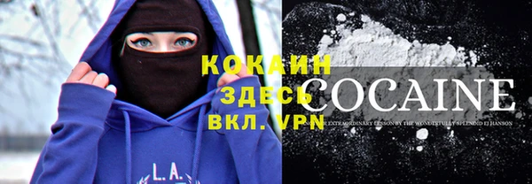 твердый Вяземский